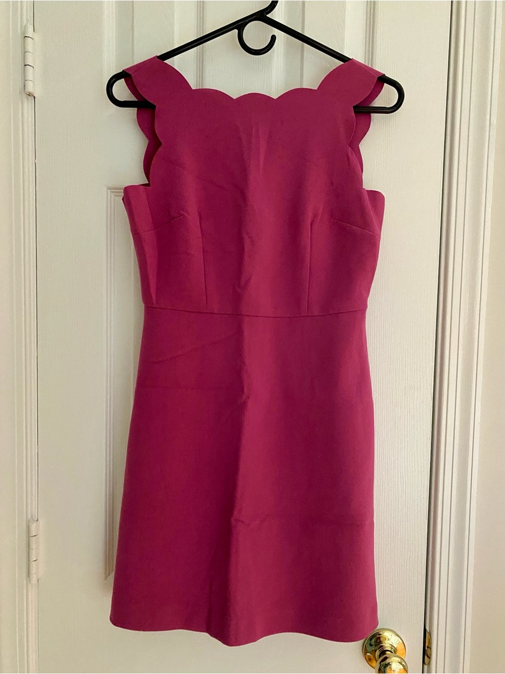 LOFT Women’s Petite Scallop-Trim Fuchsia Sleeveless Dress